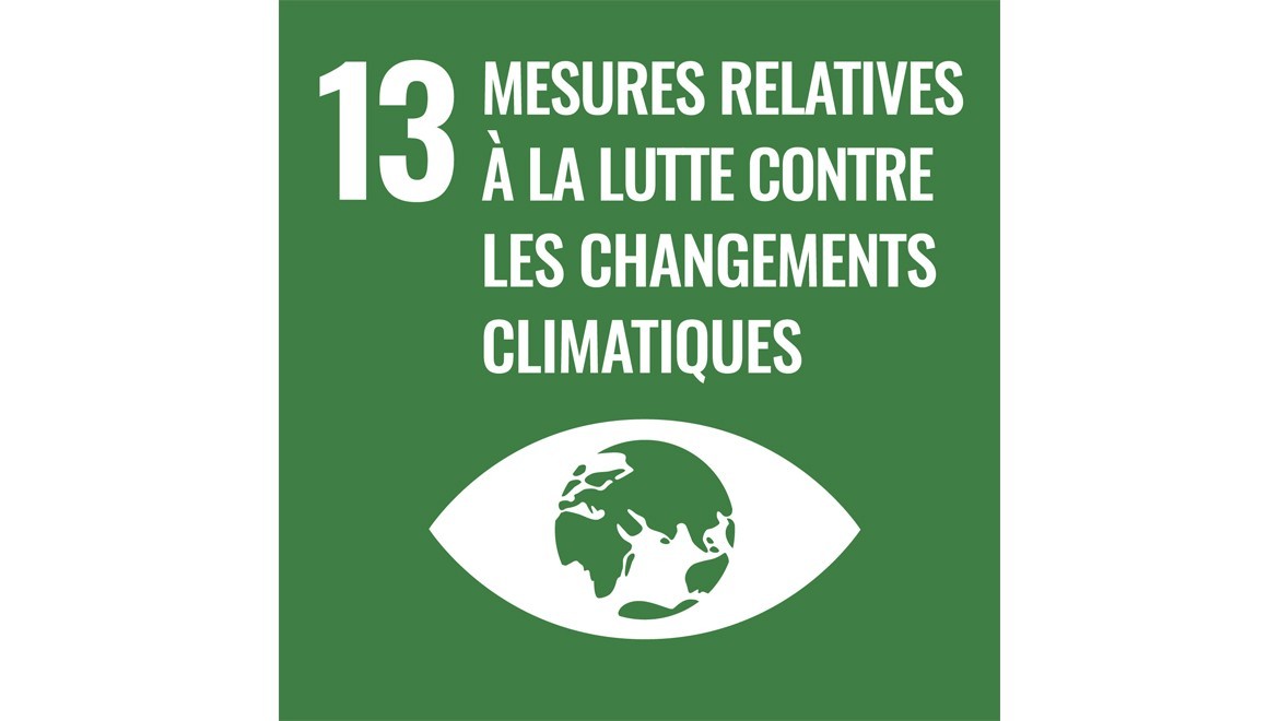 Objectif 13 des Nations unies