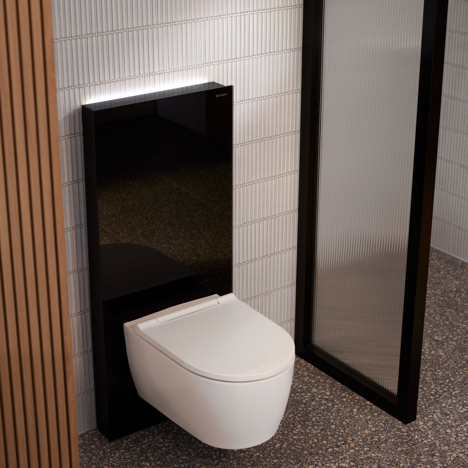 Geberit Monolith Plus sanitaire module