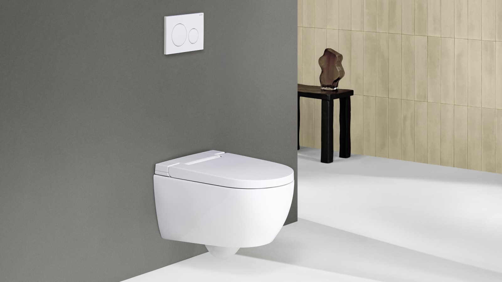 Geberit AquaClean Alba met afstandsbediening Sigma20