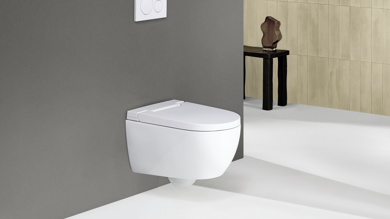 Geberit AquaClean Alba met afstandsbediening Sigma20 Geberit AquaClean Alba met afstandsbediening Sigma20