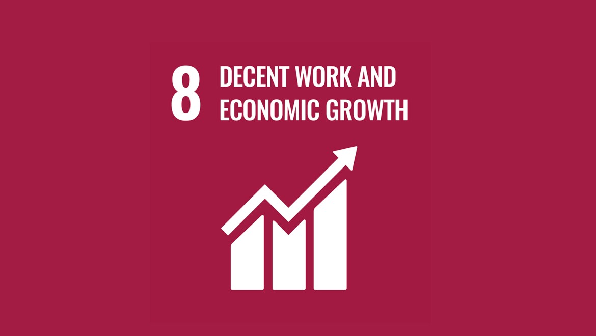 Doelstelling 8 van de Verenigde Naties “Respectvol werk en economische groei"