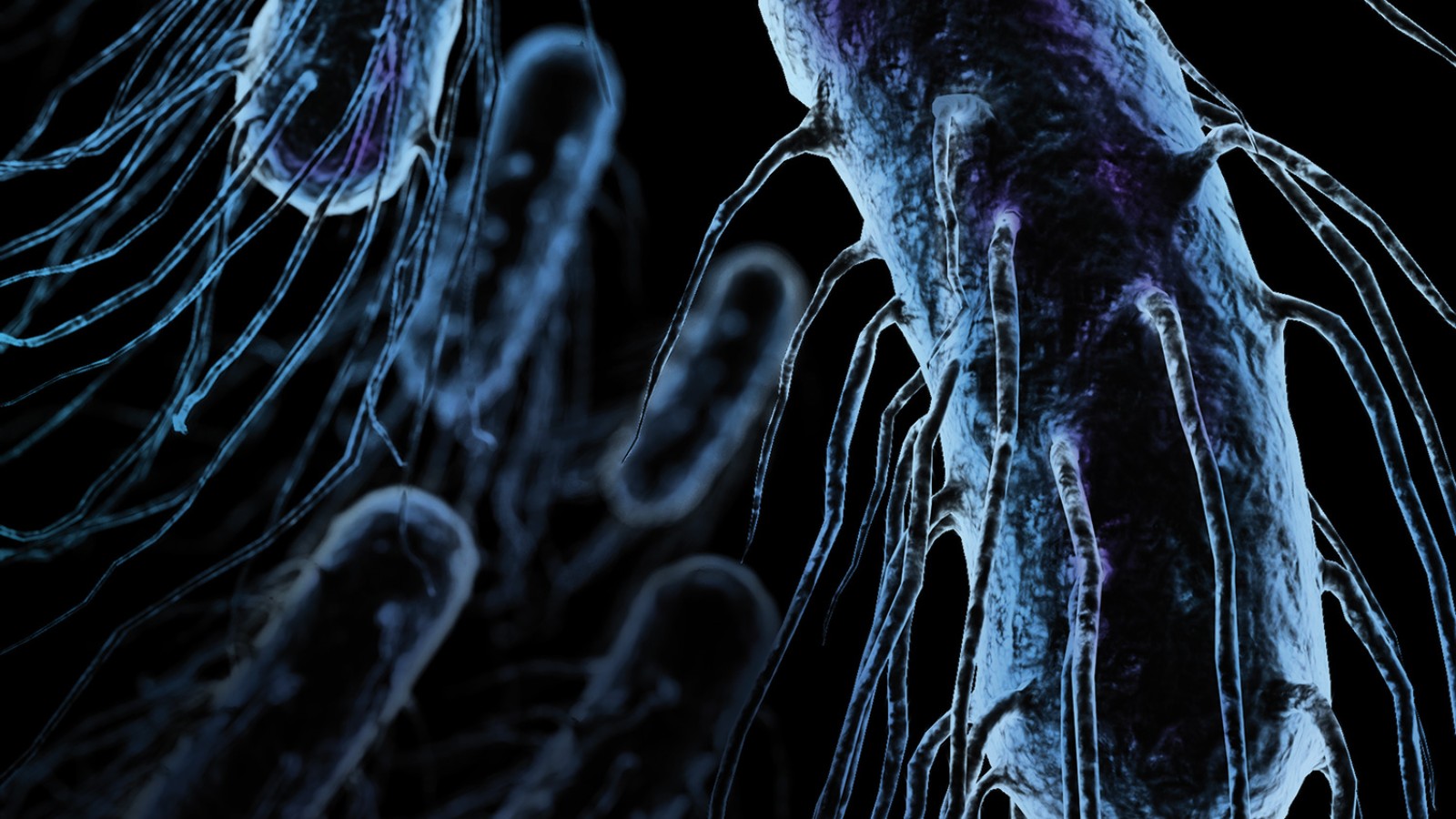 Légionelle Légionelle