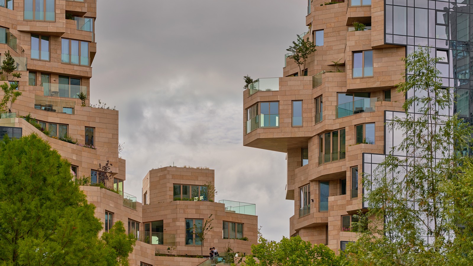 Encore nue, la façade sera bientôt verte : 155 variétés de plantes poussent ici (© Marcel Steinbach)