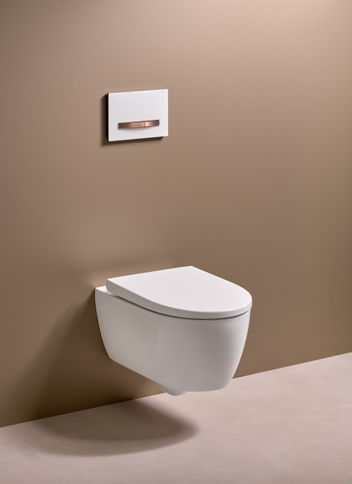 Plaque de commandes Geberit Sigma50 pour la toilette