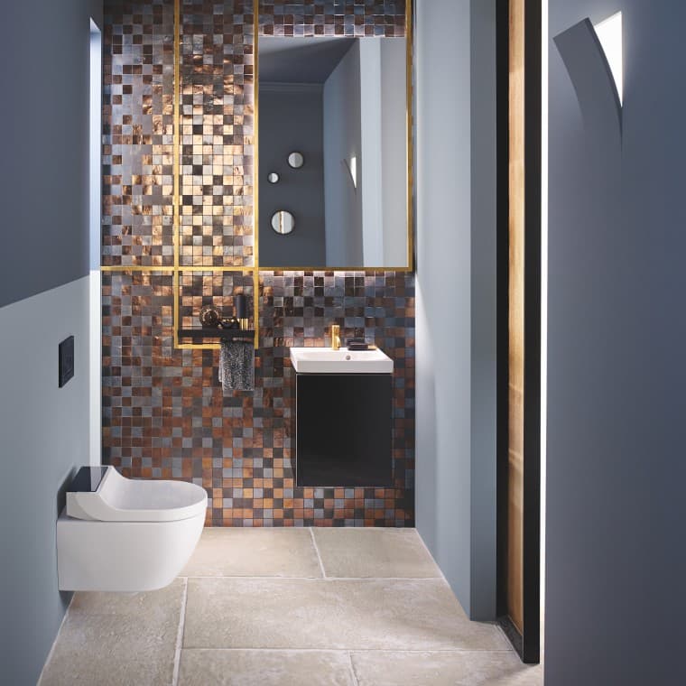 WC-douche Geberit AquaClean Tum Comfort dans une salle de bains Geberit Acanto WC-douche Geberit AquaClean Tum Comfort dans une salle de bains Geberit Acanto