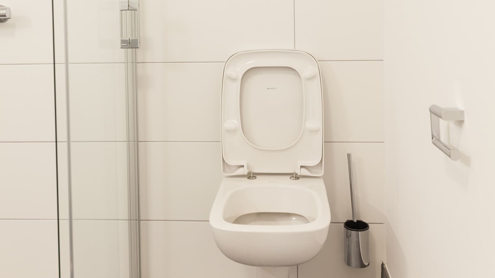 WC suspendu Geberit Renova Plan (© Geberit) WC suspendu Geberit Renova Plan (© Geberit)