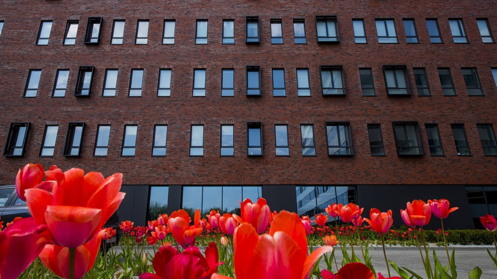 Vroeger een fabrieksgebouw, nu een studentencomplex: LivinnX in Krakau. (© Jaroslaw Kakal/Geberit) Vroeger een fabrieksgebouw, nu een studentencomplex: LivinnX in Krakau. (© Jaroslaw Kakal/Geberit)
